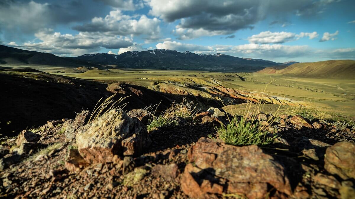    Кош-Агачский район республики Алтай© РИА Новости / Андрей Варенков