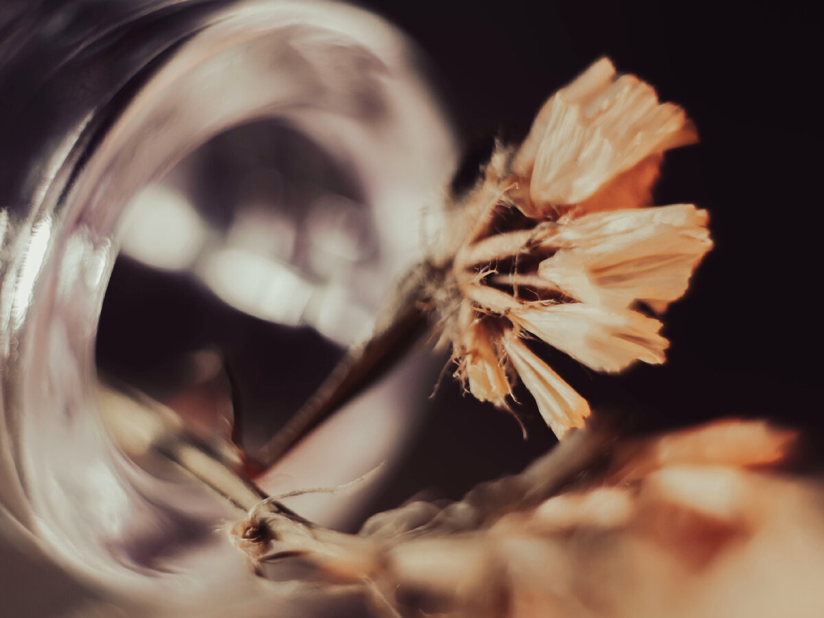 Из архива https://vk.com/fotograf_ilnara 