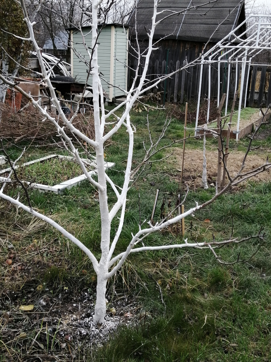                  =   ЛИСТАТЬ   =