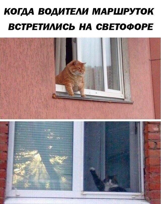 1) Они все знают друг друга