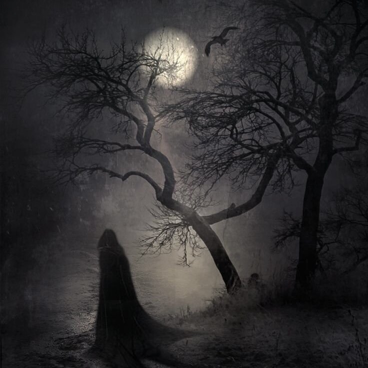 Яндекс картинки 