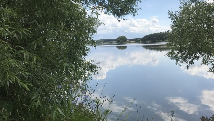 фото Ирины Никитиной.