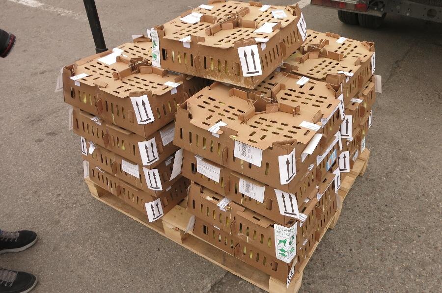 Фото Калининградской областной таможни