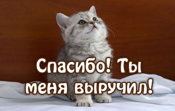 Картинка с сайта: https://vk.com/wall-93932057?offset=500