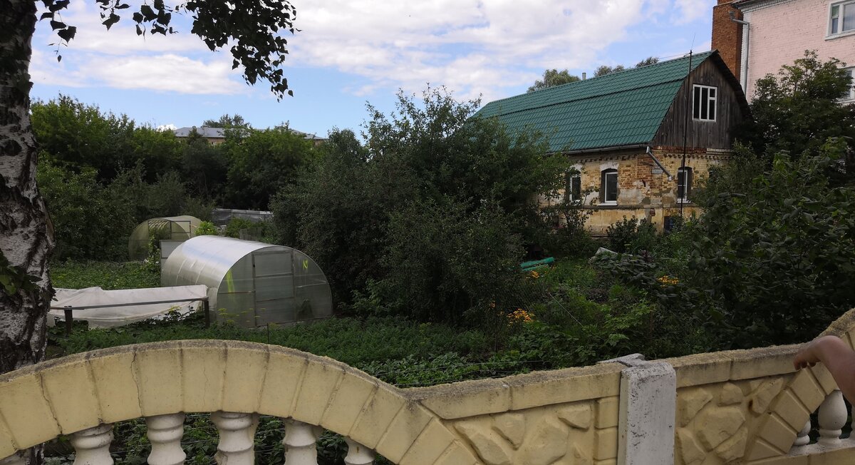 Овраг не очень удачно получился, да и заселен он давно