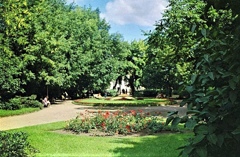 Парк городской сад