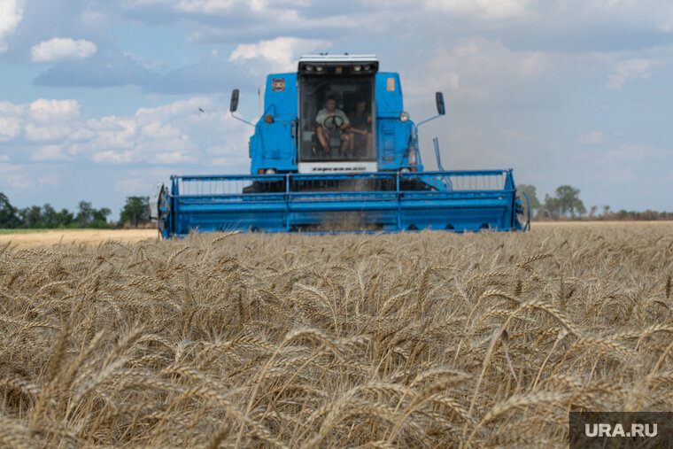    Россия требует немедленного возобновления экспорта аммиака, заявил Александр Грушко