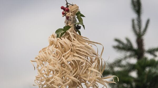   © photo: Sputnik / Stringer