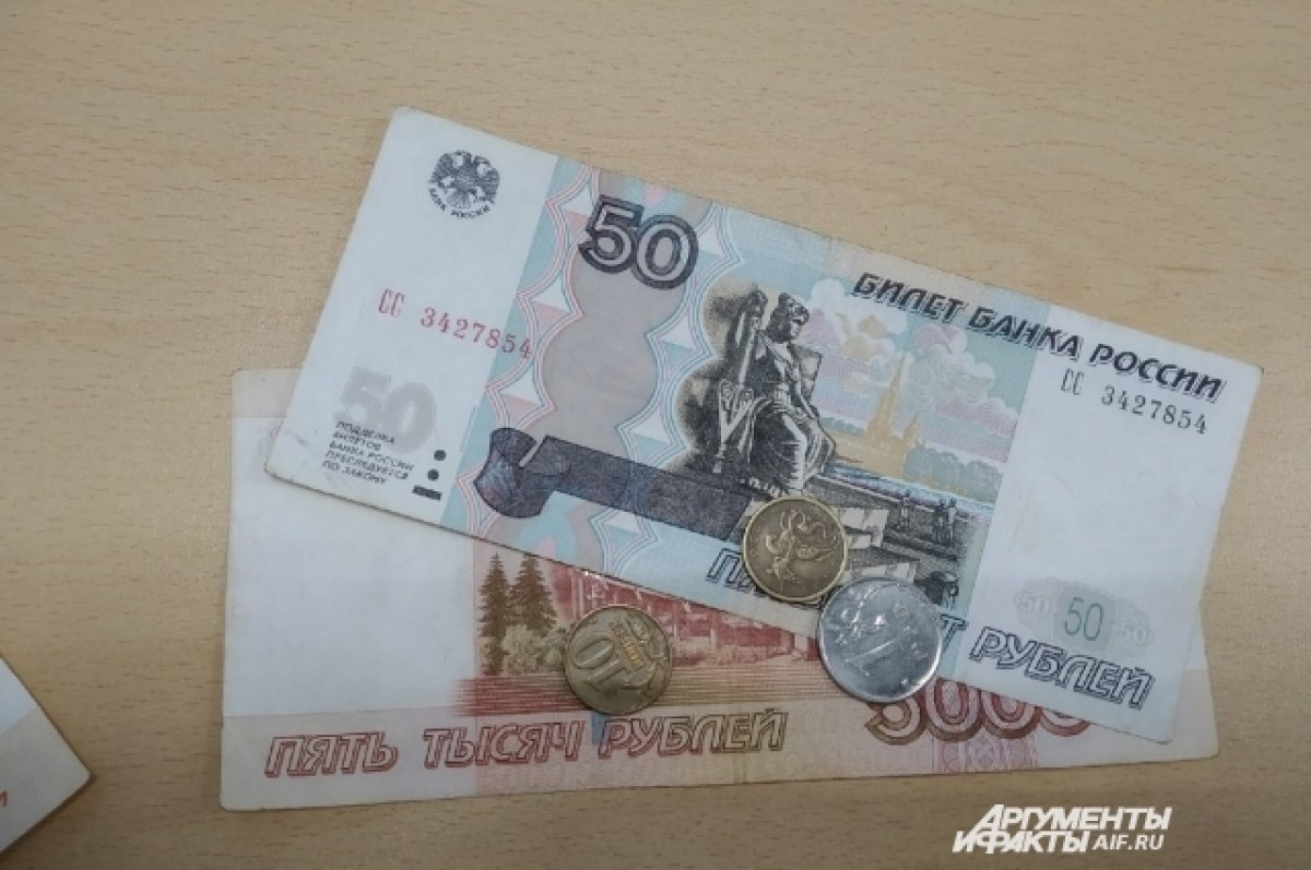    Стало известно, каким будет размер детских пособий в 2023 году на Алтае