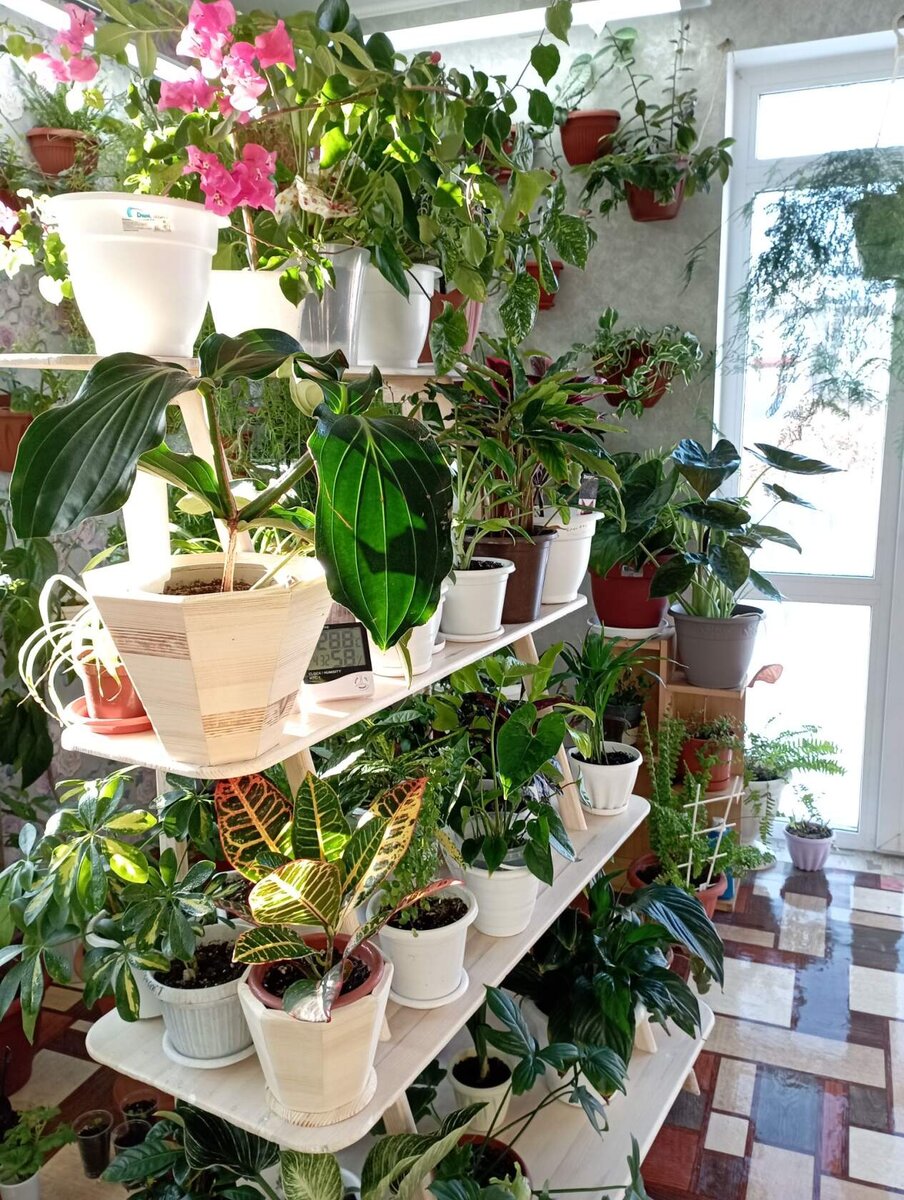 Готовое изделие с жильцами. 