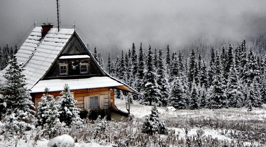    Какие продукты использовать для выживания в деревенском доме? Фото: по лицензии PxHere