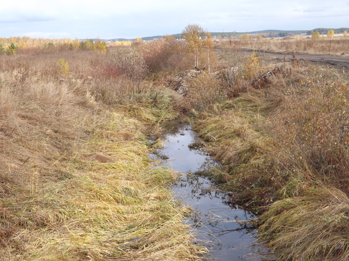 Осушенная речка Арамилка, не столь бурливая как раньше