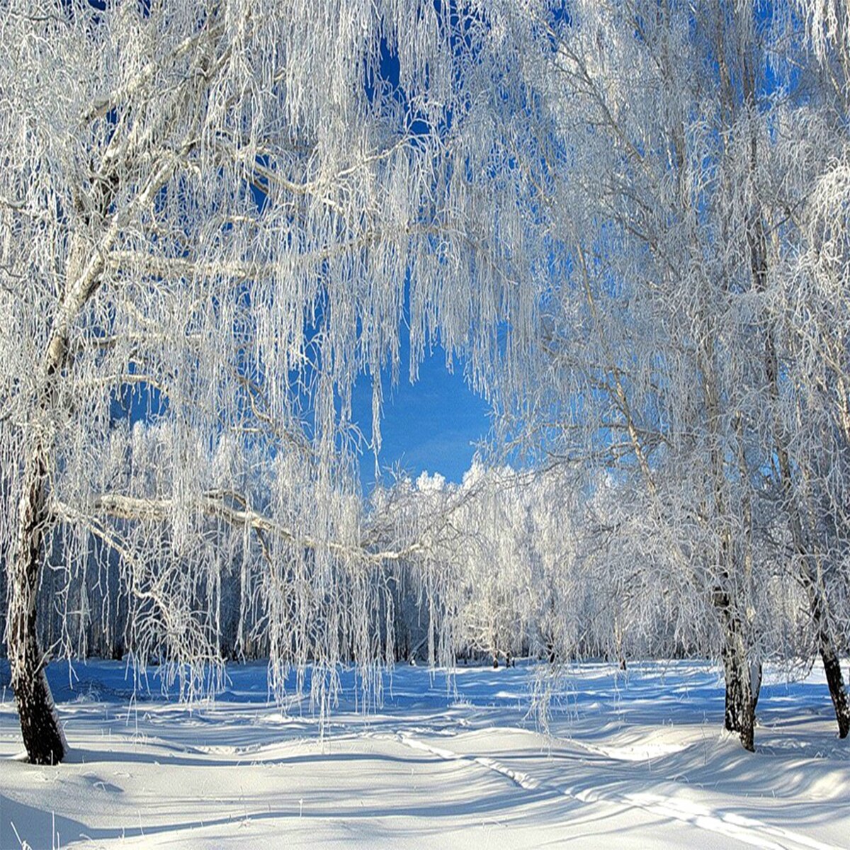 Время года - зима. | Стихи Души - Олег Смирнов 0524. | Дзен