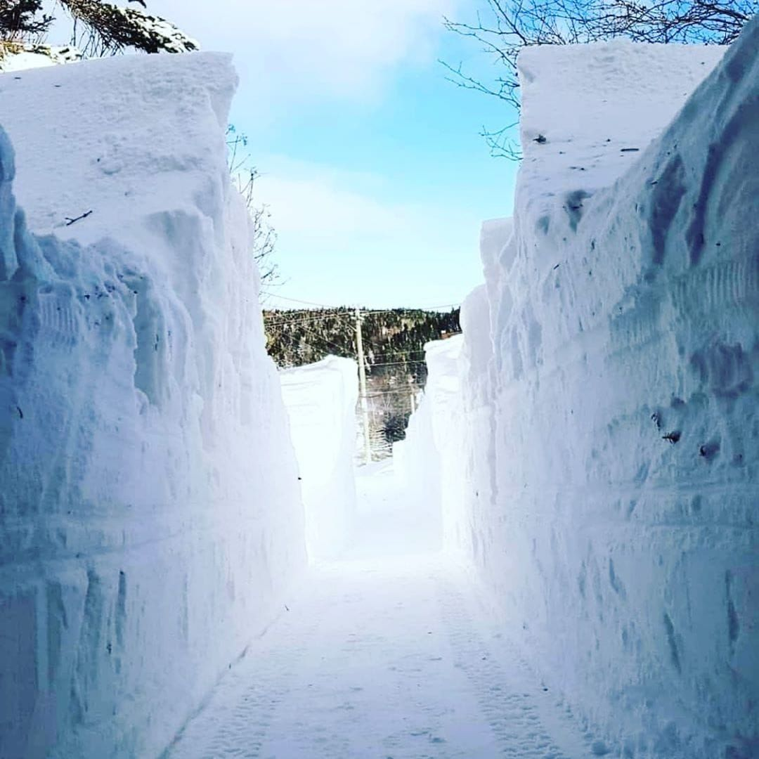 Где зима мягкая. Много снега. Стена из снега. Замело дорогу снегом. Огромные сугробы.