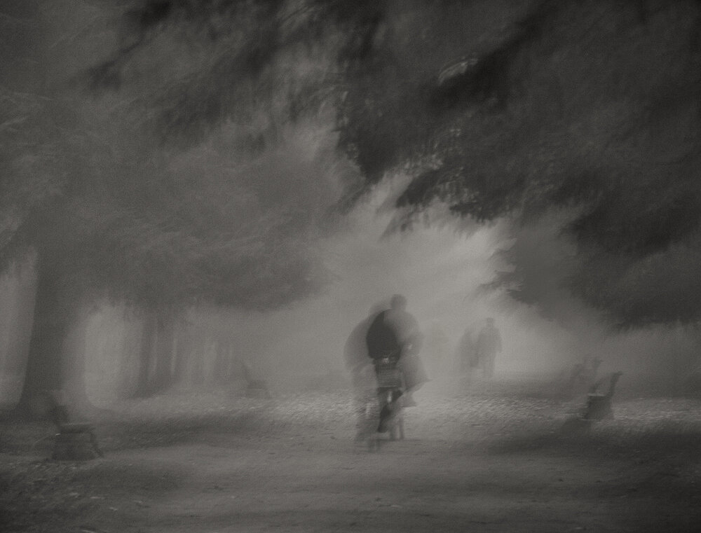 Дорогим моим! Читателям! | Н.В. | Дзен