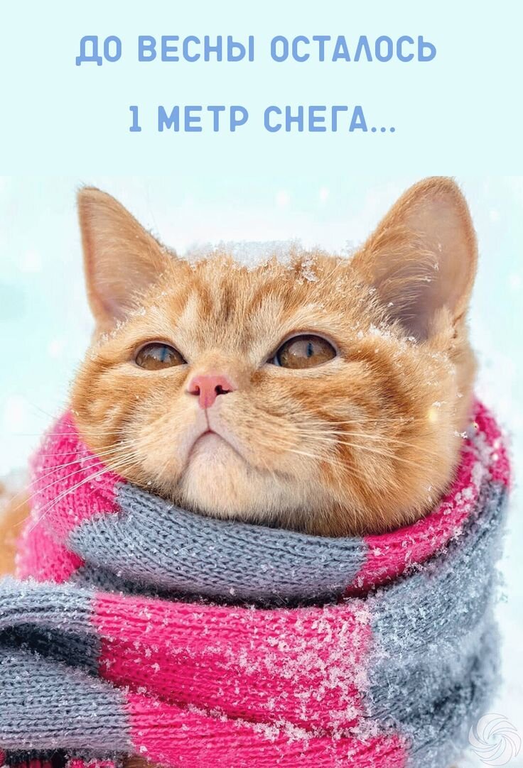 Фото с сайта pinterest.com