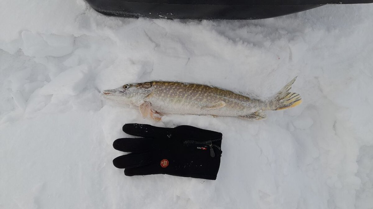 Хороша мамка! 