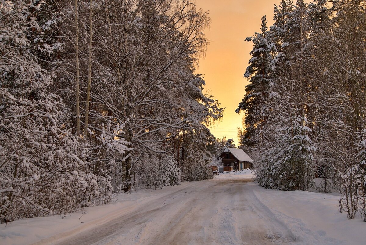 Фото: Сергей Сыродоев.