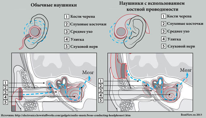 Отличие обычных наушников от наушников костной проводимости