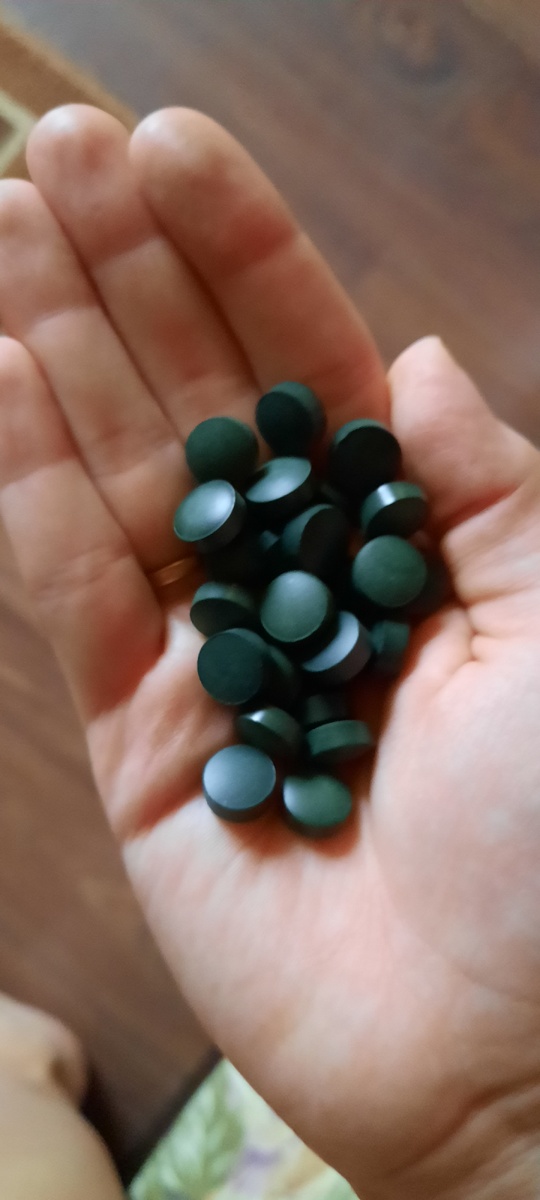 просто спрессованные водоросли. Никакой химии 