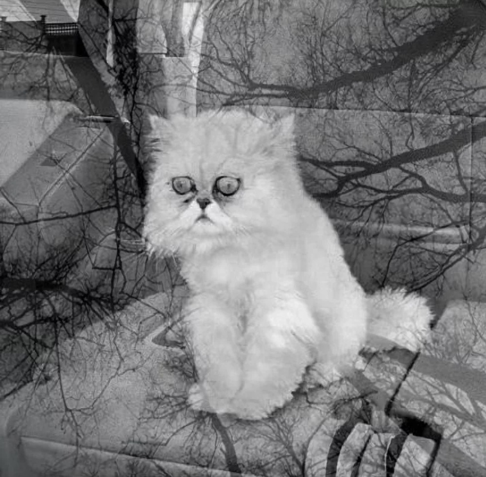 Отсутствие сна порождает депрессию. В депрессии не получается уснуть. Это просто замкнутый круг.