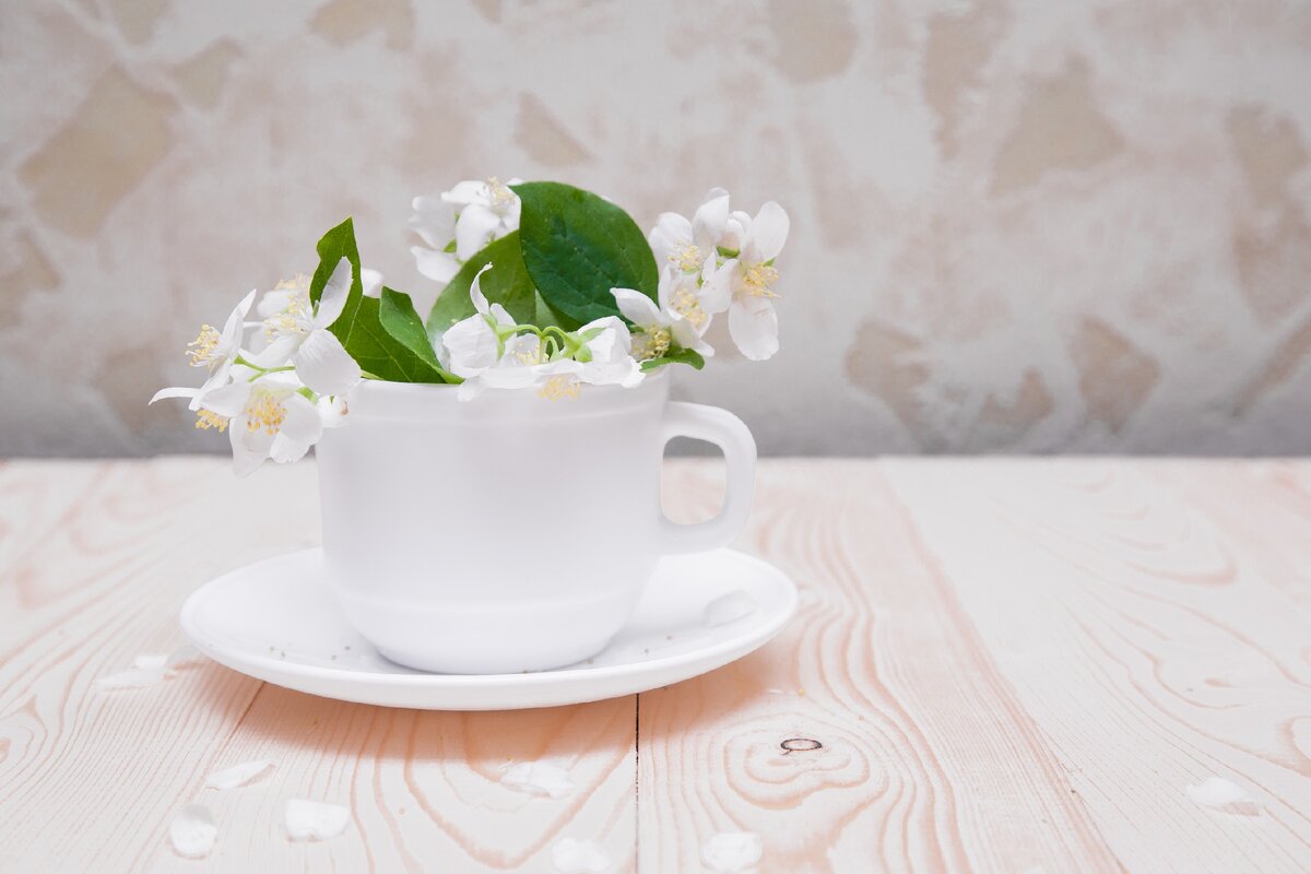 Фото из архива автора 