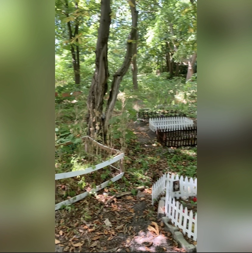 Кладбище домашних животных