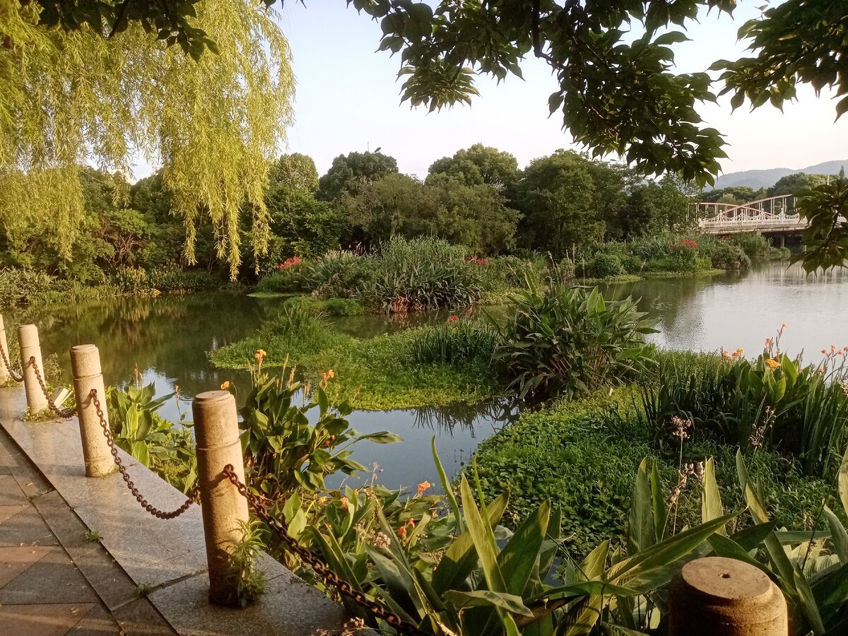 Парк рядом с домом.