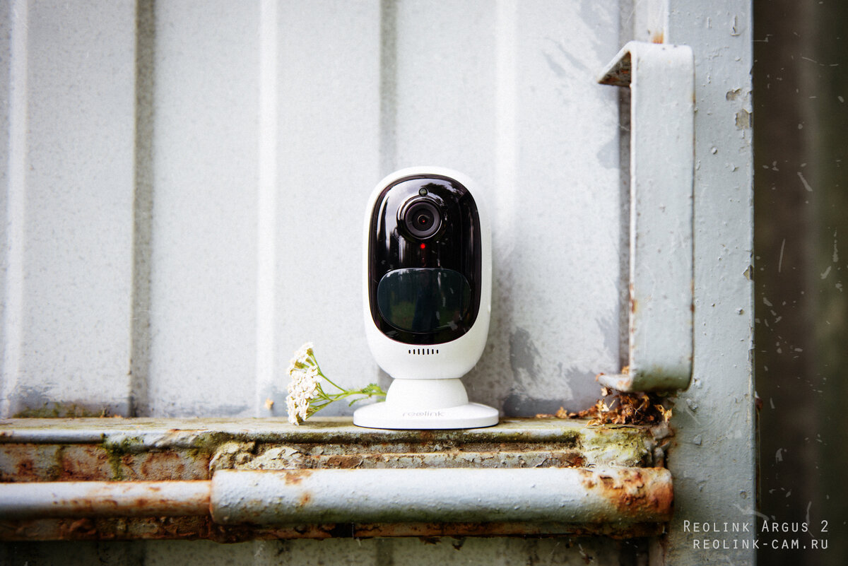 пример беспроводной IP-камеры: Reolink Argus 2