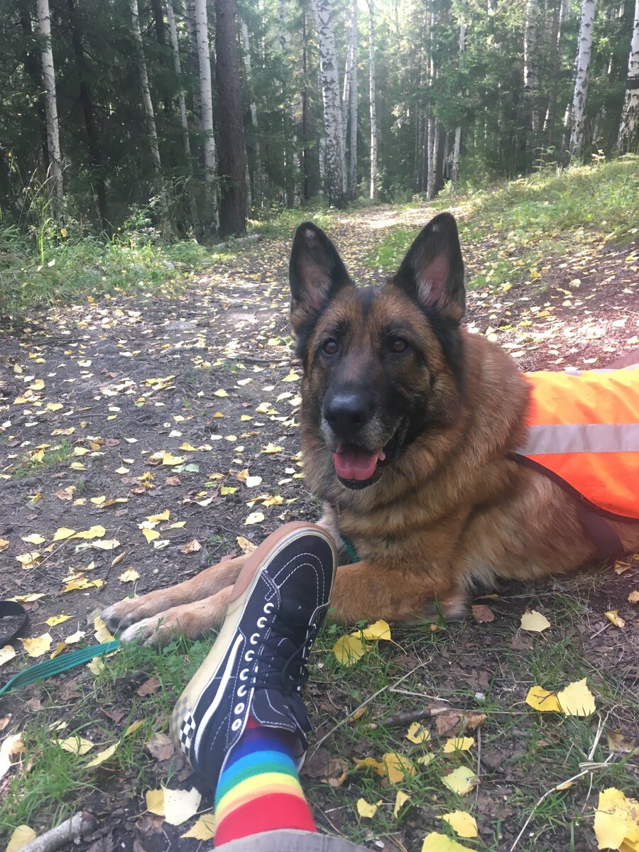 Пятиминутный перекур