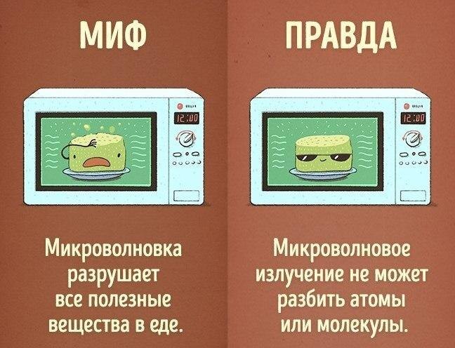 Уже с ранних лет детей приучают к той жизни, которую родители считают «правильной» и «нормальной»
