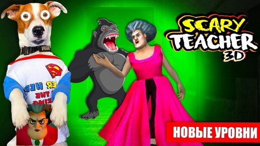 Новые уровни 🧨 злая училка мучилка 👹 scary teacher 3D 🧨 5 Глава