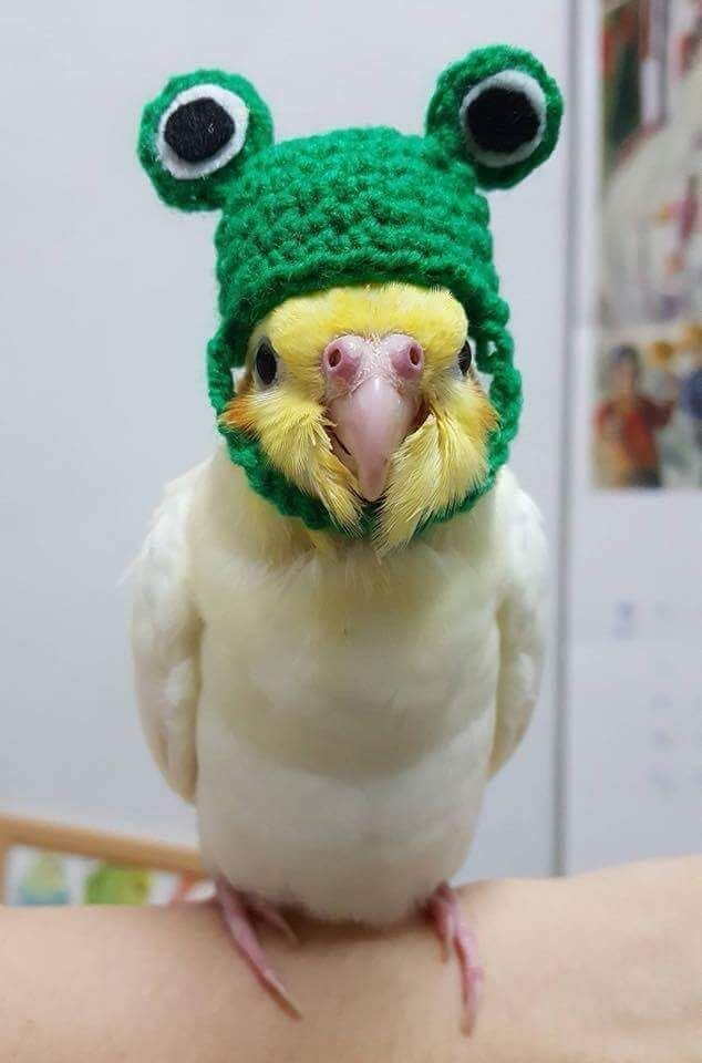 И совсем не сложно!
