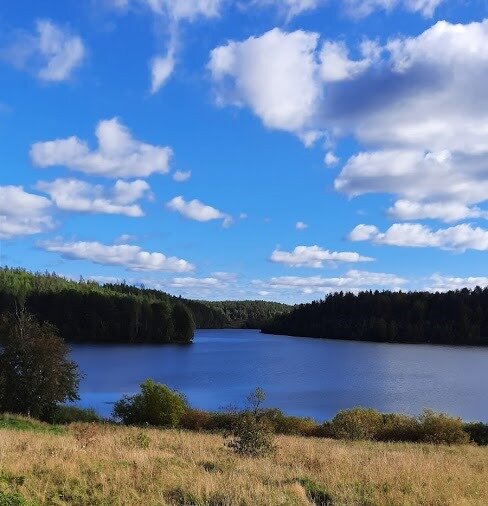 Карелия (тут я живу пока)