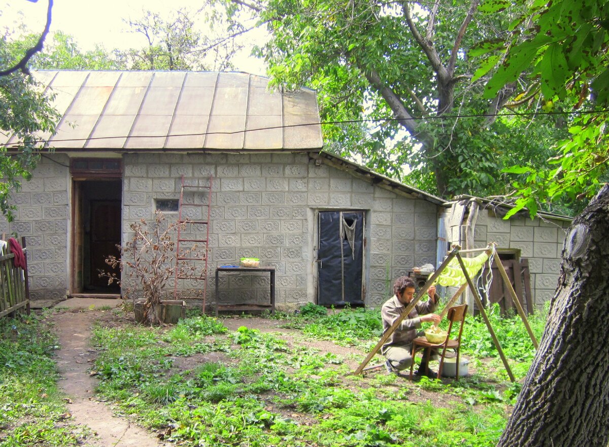 Сушилка для кабачков.