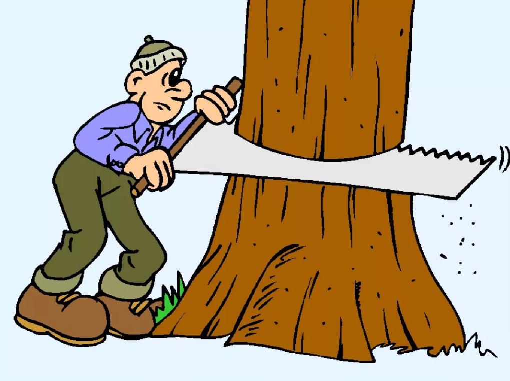 Пилить на своем участке можно, но есть нюансы