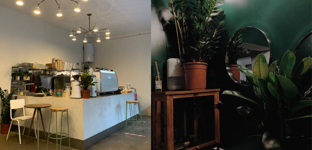 David B. Caffe (Дегтярный)