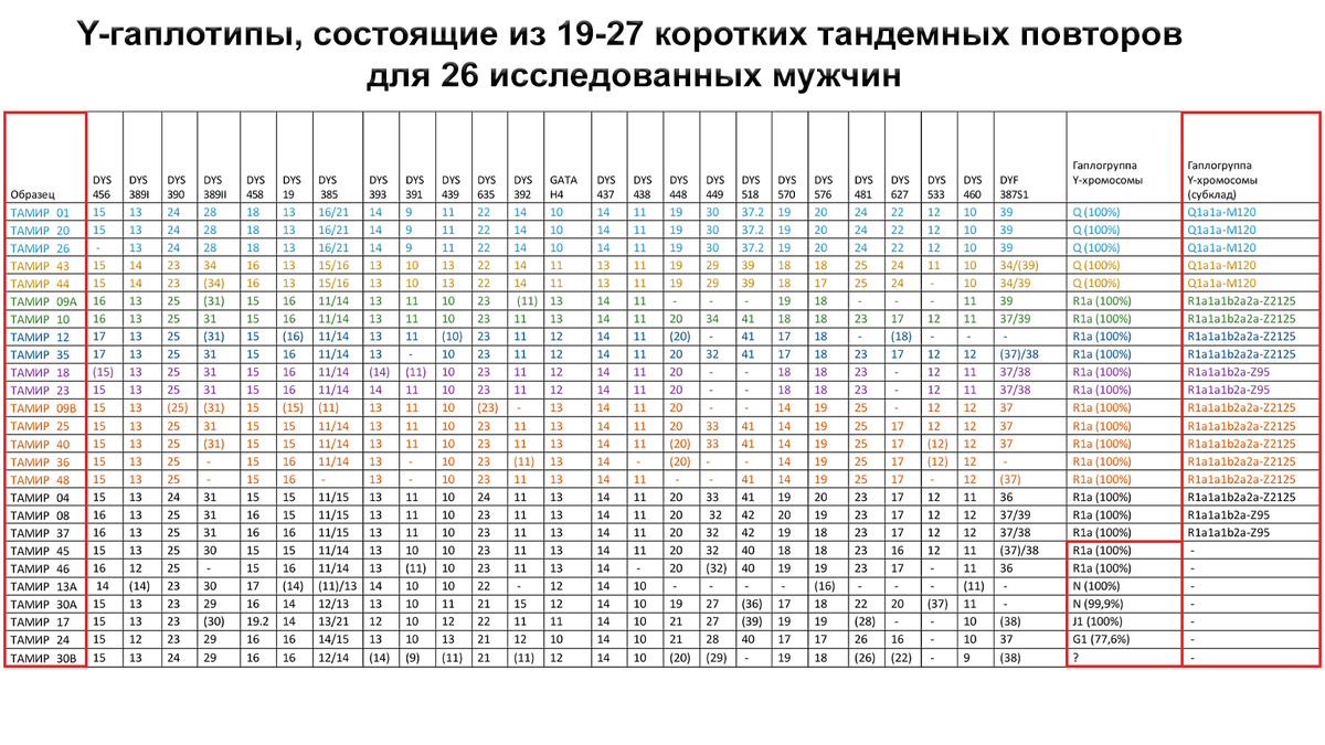 Скифы предки хунну, а хунну предки гуннов, аваров и мадьяр?