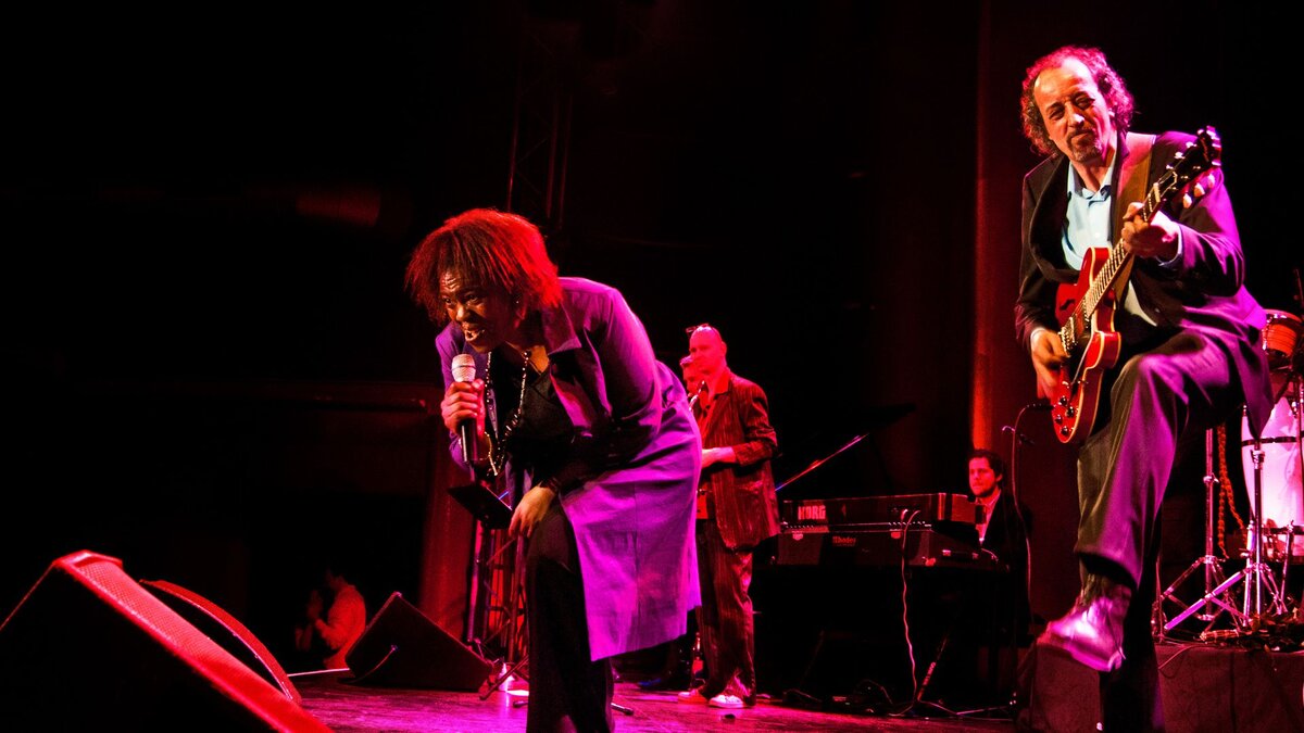 Лучшие электросвинг исполнители: Club des Belugas