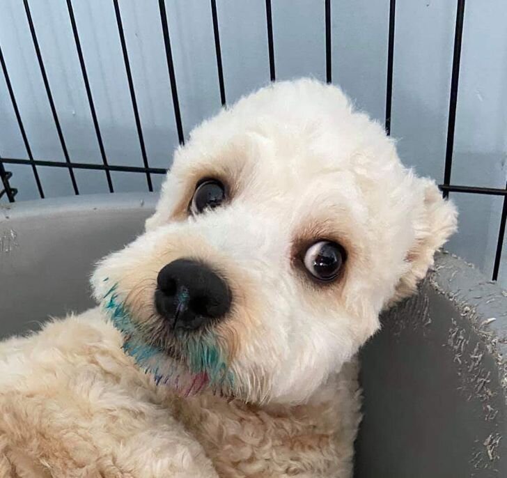 © Harry_Geezer / Reddit