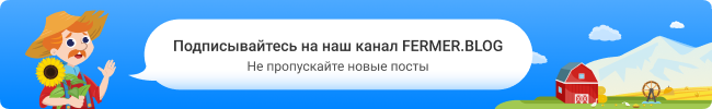 Яблоня не сбросила листья на зиму: что делать