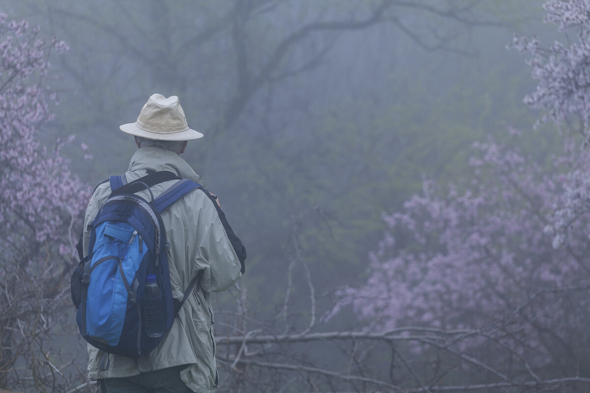 Фото © Рашид Сухов