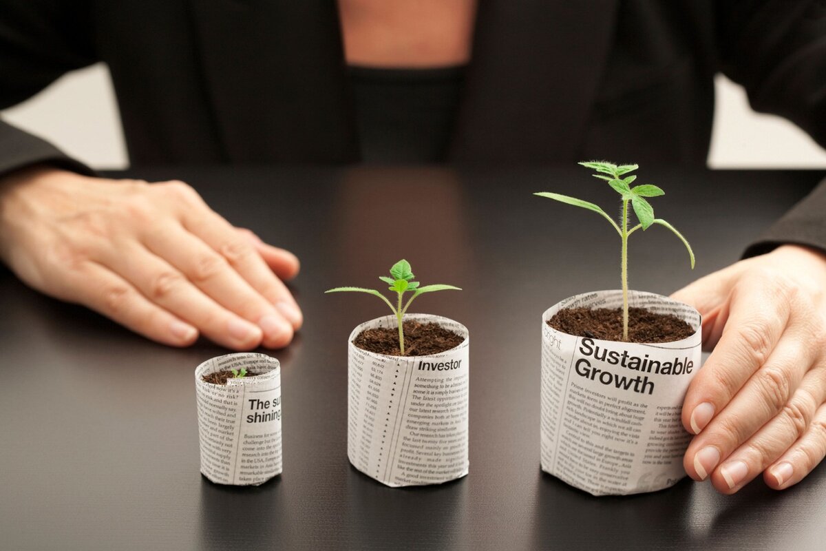 Источник: toolformoney.com