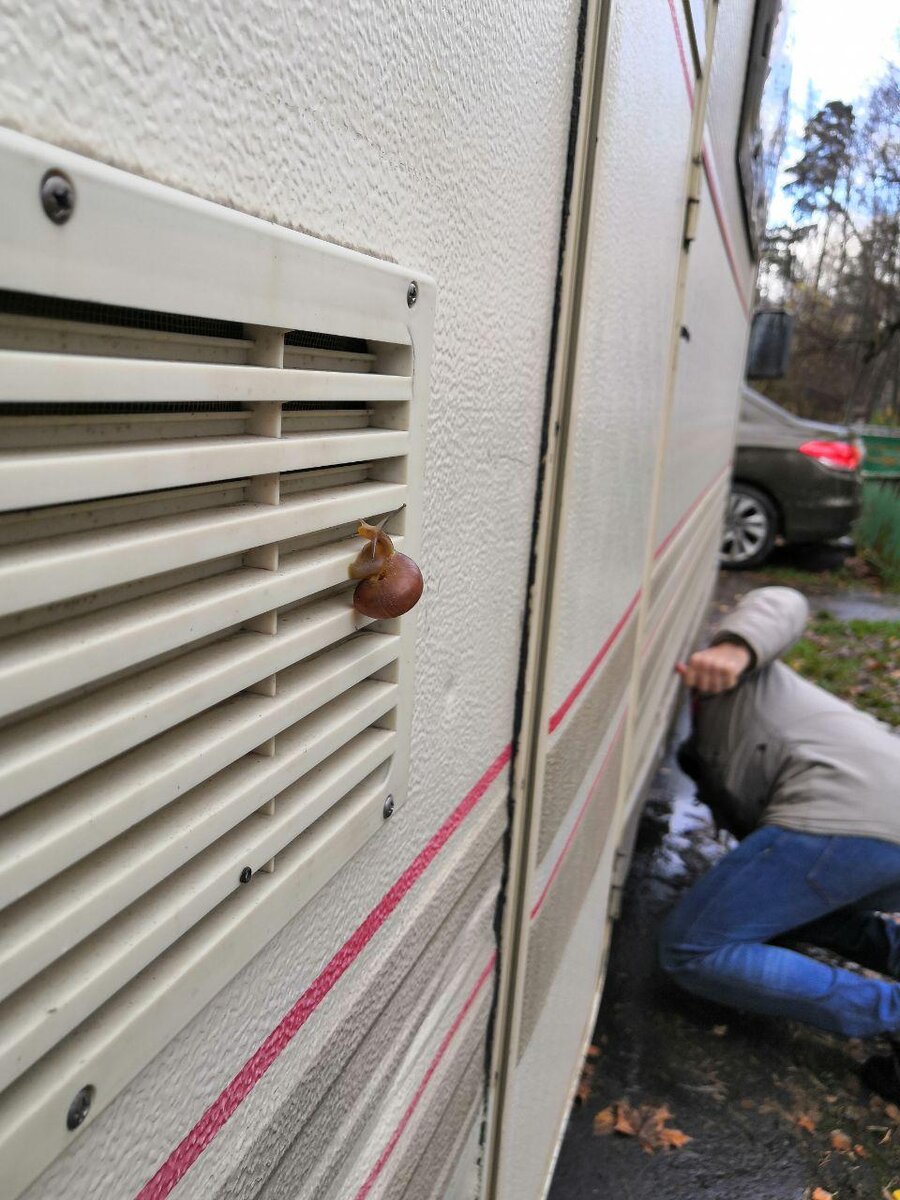 Едем покупать автодом 1991 года выпуска | Автодом и Дом на колесах | Дзен