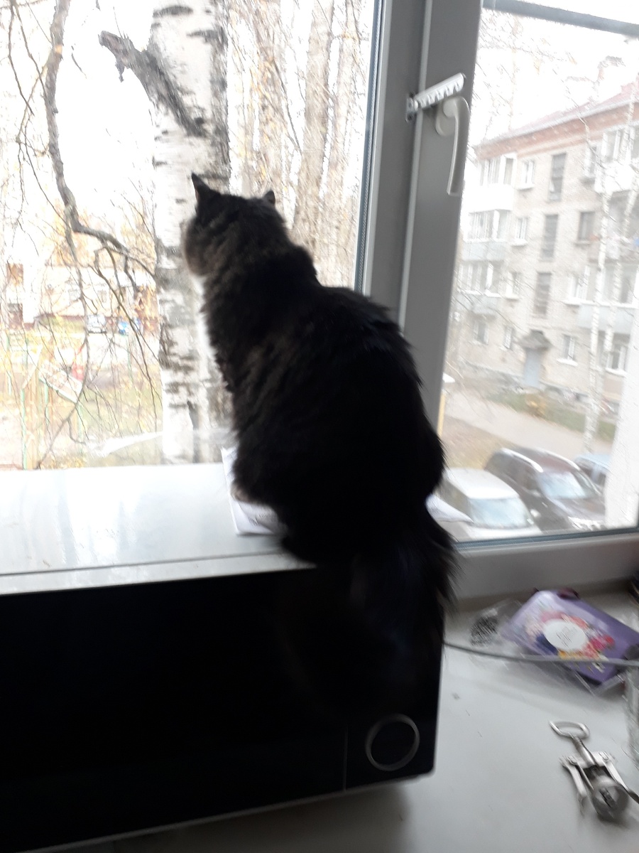 и как за закрытыми окошками жить!