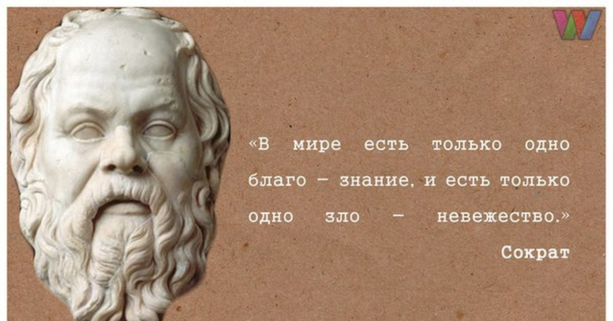 В мире есть только один человек. Невежество цитаты. Цитаты про невежество людей. Цитаты про незнание. Фразы про невежество.