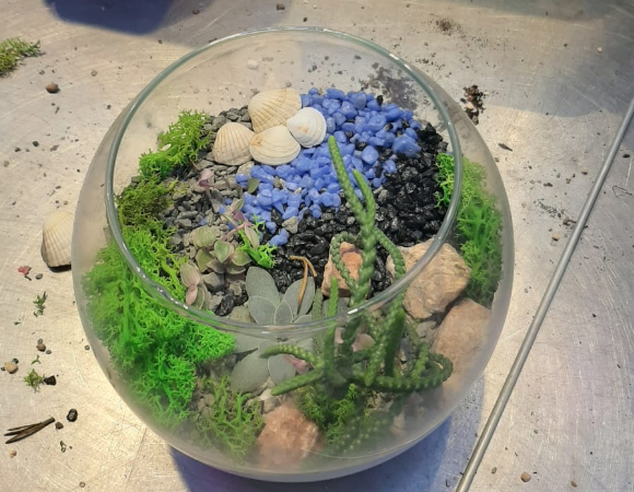 Флорариум руками автора
