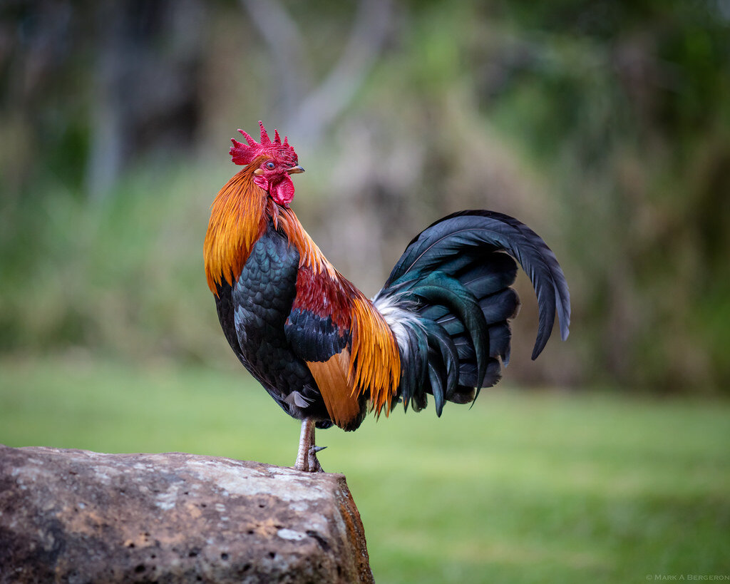 фото из открытых источников интернет