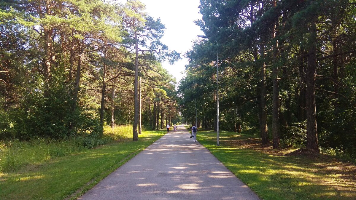 Это дорога длиною  чуть менее 2-х км ведет прямо к морю. Мы сейчас с нее свернем влево и пойдем по лесным дорожкам. Досмотрите до конца галерею, там есть один очень необычный дом-корзина.