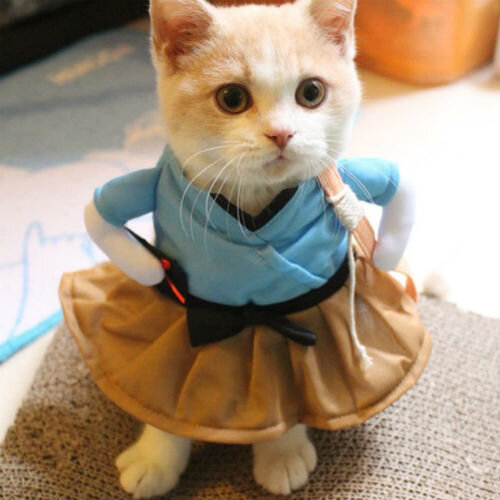 Кошки одежда для кошек и котов